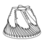 TIMEMORE Chestnut S3